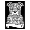 KOLOROWANKA WELWETOWA A4 PIES PITBUL COLORVELVET