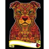 KOLOROWANKA WELWETOWA A4 PIES PITBUL COLORVELVET