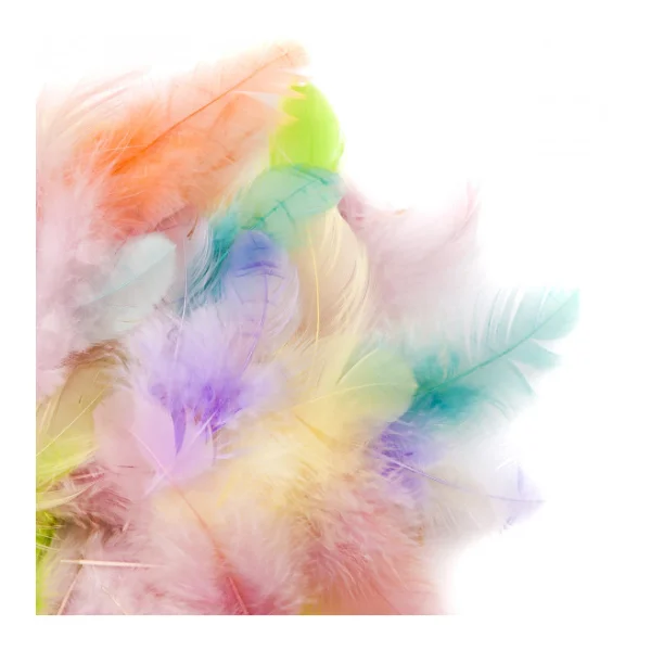 PIÓRKA DEKORACYJNE PASTEL MIX DP CRFT CEPI-103