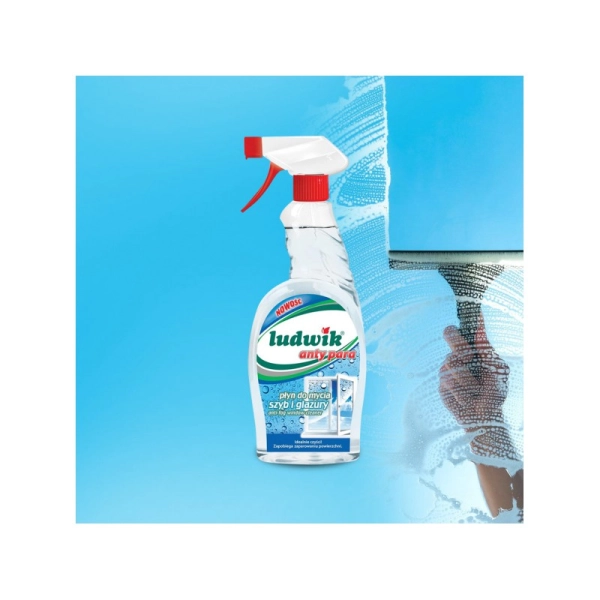 LUDWIK PŁ.D/SZYB. 600ML ANTYPARA(10/8385