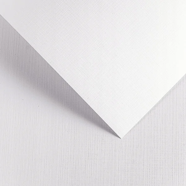 KARTON OZDOBNY KRATKA BIAŁY 20 SZT 220G GALERIA PAPIERU