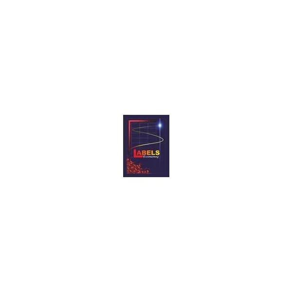 ETYKIETY SAMOPRZYLEPNE A4 100 SZT 105X48 LABELS EP 3424