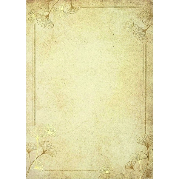 DYPLOM GINKGO 190G 20SZT GALERIA PAPIERU