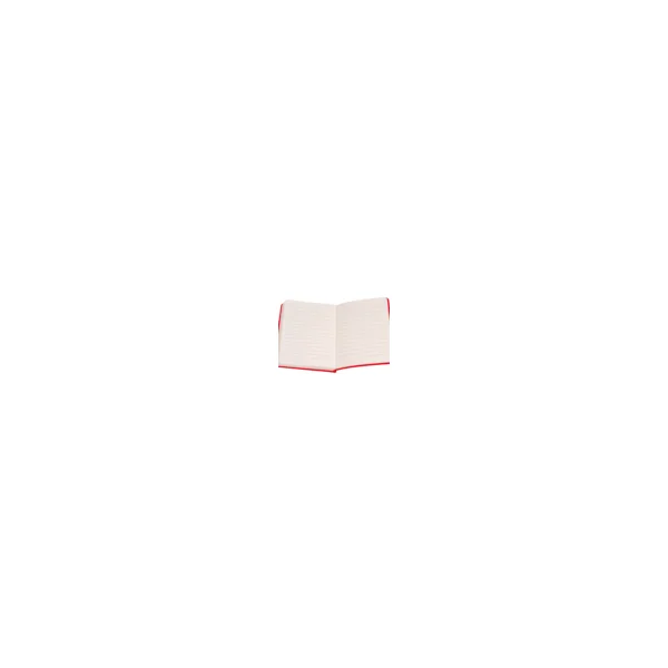 NOTES Z DŁUGOPISEM A6 CZERWONY W PUDEŁKU ANTRA