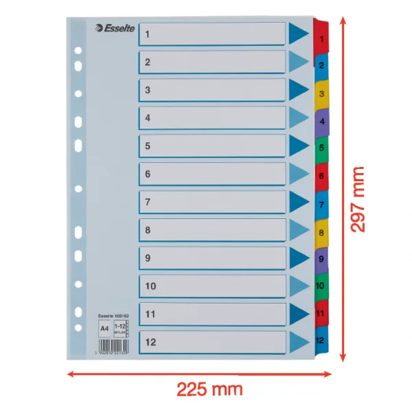 PRZEKŁADKI A4 1-12 MYLAR ESSELTE