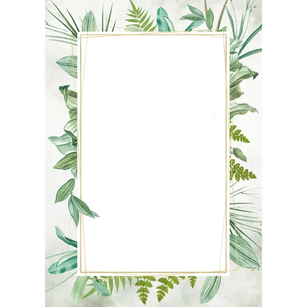 DYPLOM BOTANIC 170G 219617 GALERIA PAPIERU